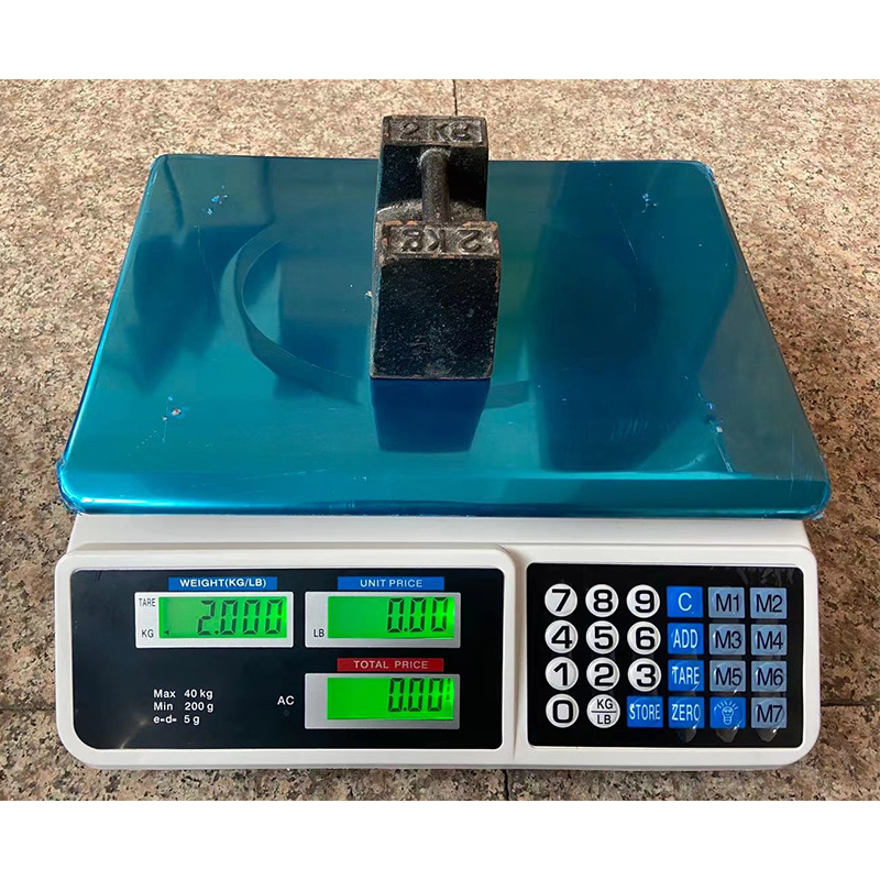 Stainless Steel Electronic Sca - Diy Electronics Stores review and price
